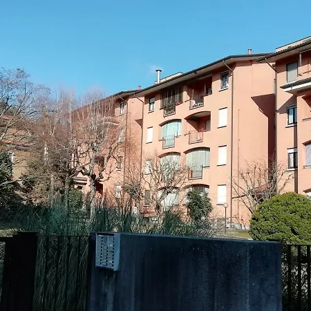 24 * Arona